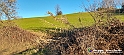 20230110_160337 - Dalla terra... il grano